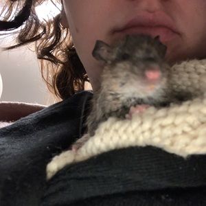 Meet your Posher, Melissa